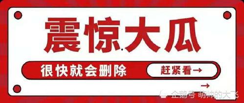 娱乐圈吃瓜八卦汇总